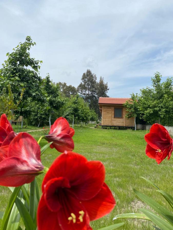 Inlice Uenzile Bungalow Inlice Kamp Fethiye Luaran gambar